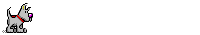 dogrun2